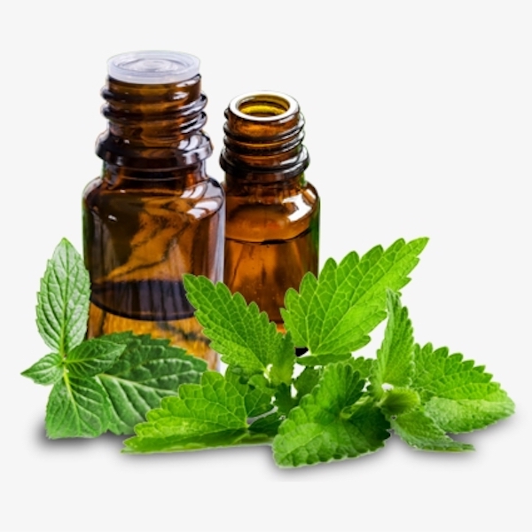 Spearmint Oil