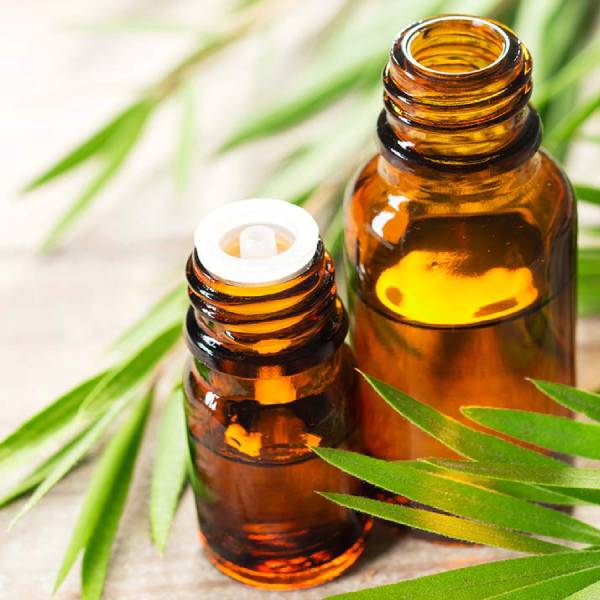 Tea Tree Oil