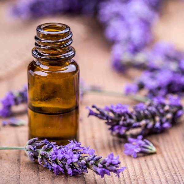 Lavender Oil