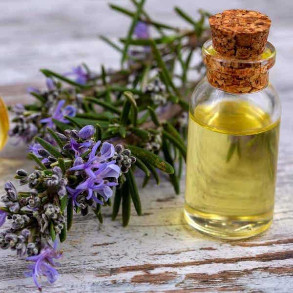 Rosemary Oil