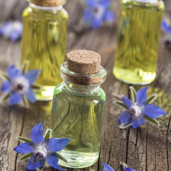 Borage Oil
